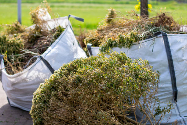 Best Furniture Removal Near Me  in Clarinda, IA